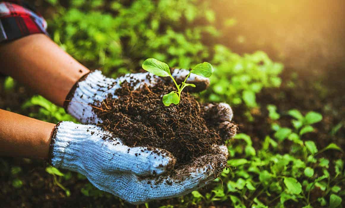 Fsb Teknoloji Tarımkon’un Resmi Dijital Ajansı olmuştur.